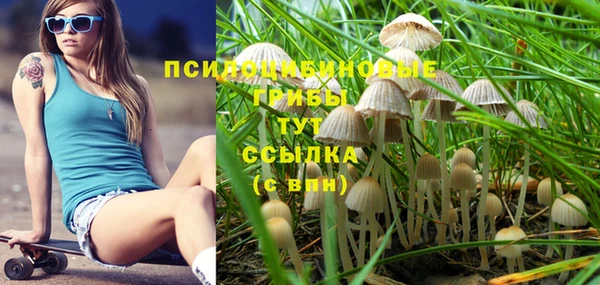 дурь Нефтегорск