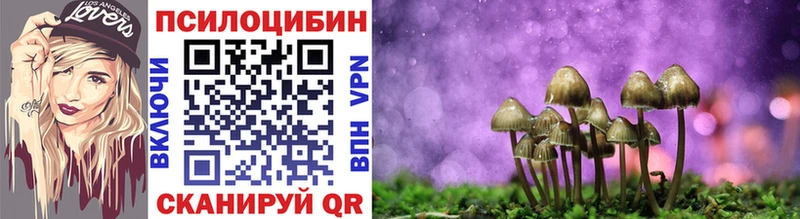 Псилоцибиновые грибы GOLDEN TEACHER  Усолье-Сибирское 
